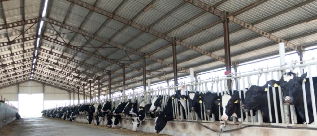 Why Agriculture Metal Buildings are Ideal for Modern Farms