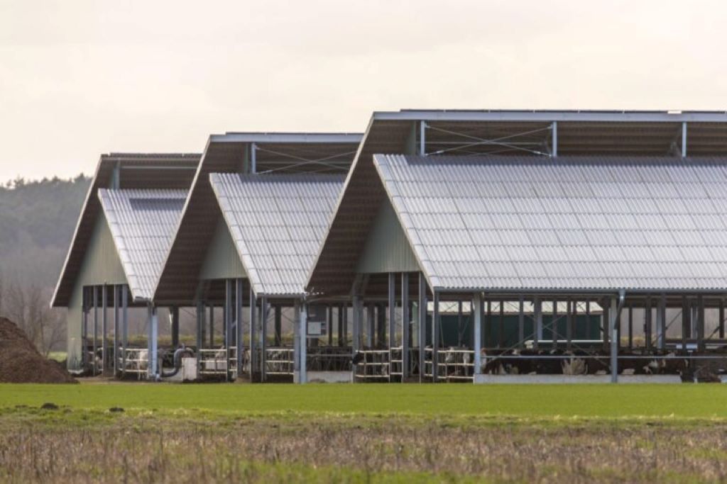Why Agriculture Metal Buildings are Ideal for Modern Farms